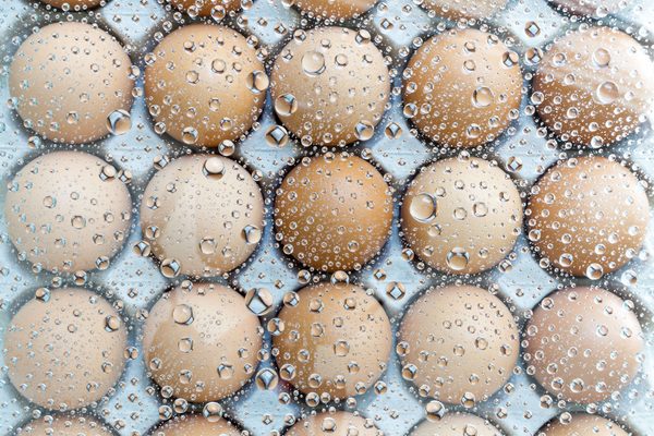 Egg Freezing is Preserving Fertility for Singles Not Ready for Children