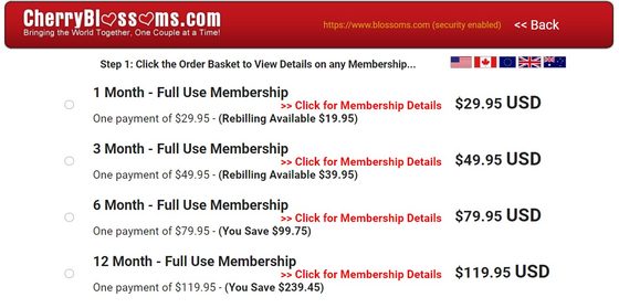 Screenshot of the Blossoms prices