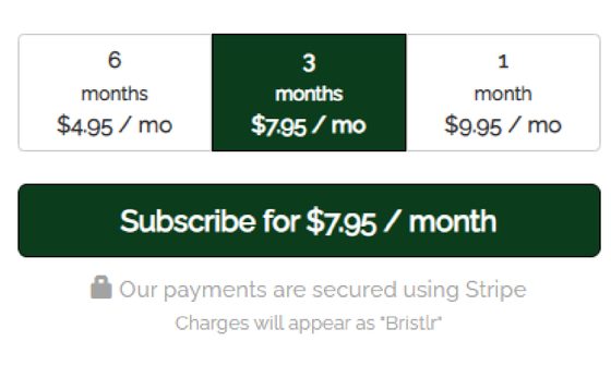 Screenshot of the Bristlr prices