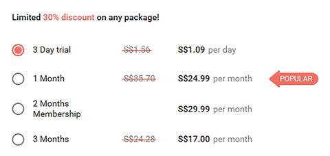 Screenshot of the Flirt prices