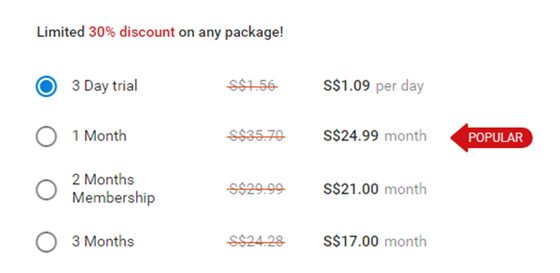 Screenshot of the FlirtyMature prices