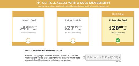 Screenshot of the GayFriendFinder prices