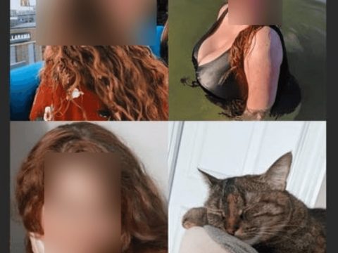 Kippo Profile
