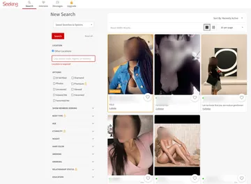 Screenshot of the Seeking website
