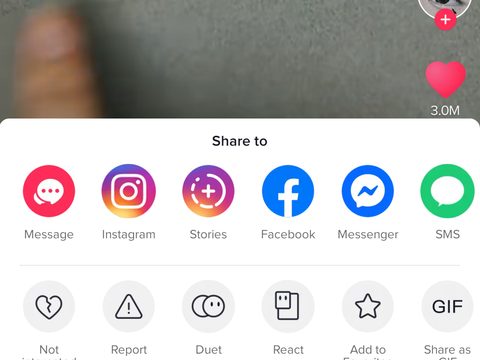 tiktok sharing buttons