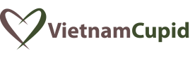 VietnamCupid in Review