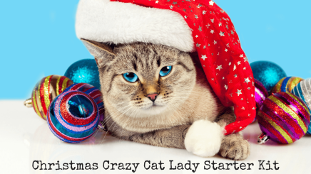 Christmas Crazy Cat Lady Starter Kit