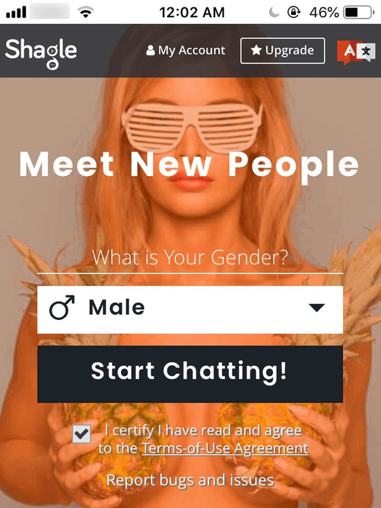 Shagle Review June 2024: Hot Chats or Not? - DatingScout